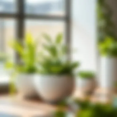 Sustainable materials used in modern planter designs