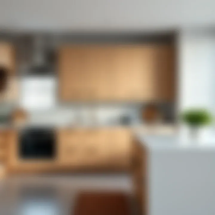 Thin Cabinet Doors in a Modern Kitchen A contemporary kitchen featuring thin cabinet doors that blend functionality and aesthetics