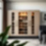 Sleek and Stylish Shoe Storage Solution Elegant large shoe cabinet with sleek doors