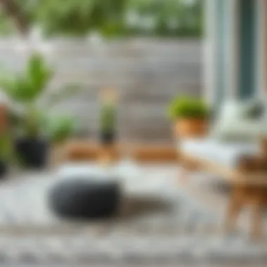 Diverse Textures and Patterns in Outdoor Rugs A variety of textures and patterns in outdoor rugs