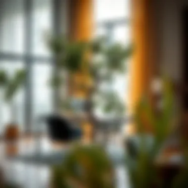 Faux Fiddle Tree Elevating Workplace Aesthetics Faux fiddle tree plant enhancing a professional office space