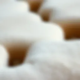 Luxurious faux lambskin fabric showcasing its texture