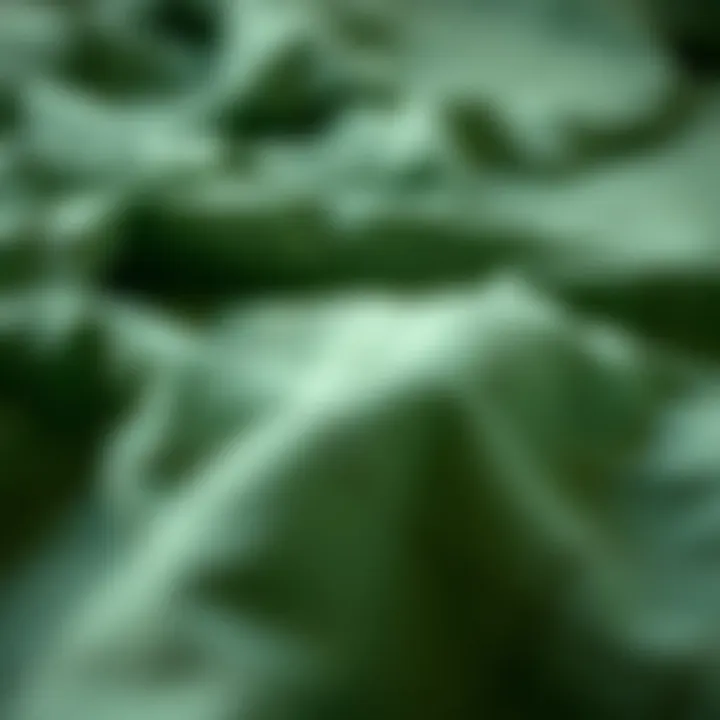 Close-up of textured fabric in forest green tones