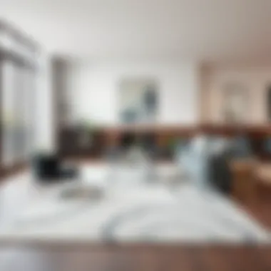 Modern Elegance: Gray Area Rug in a Living Room Elegant gray area rug in a modern living room setting