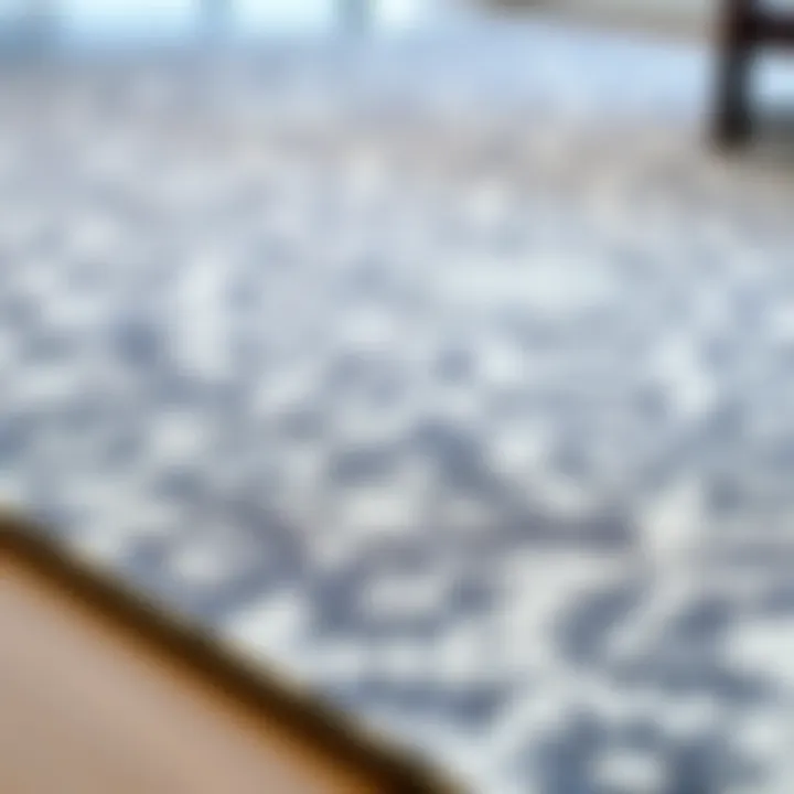 Artistry Revealed: Gray Rug with Intricate Patterns Stylish gray rug showcasing intricate patterns