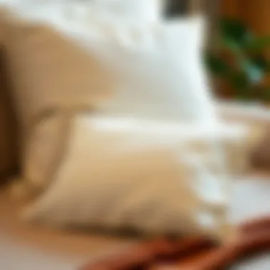 Detailed guide on selecting high-quality sham pillow covers