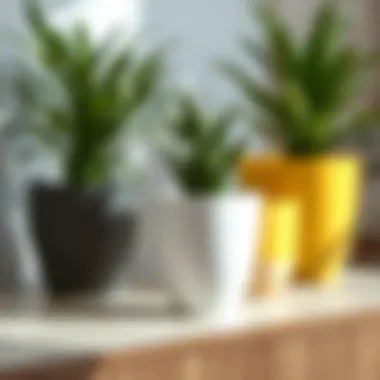 Innovative Design Features in Plant Pots Exemplary design features of modern plant pots