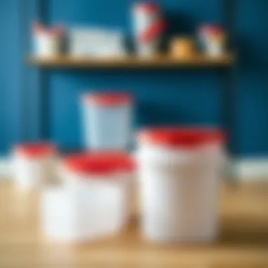 Innovative design features of Rubbermaid storage solutions