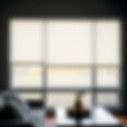 Modern window treatments showcasing Levolor's designs