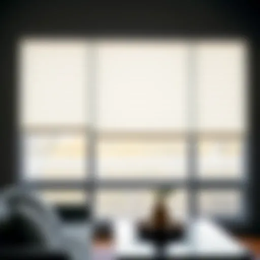 Innovative Window Designs by Levolor Modern window treatments showcasing Levolor's designs