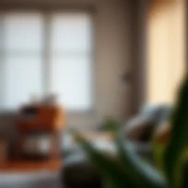 Maintenance tips for keeping cat-proof vertical blinds in top condition