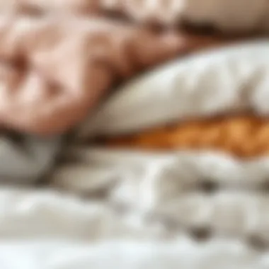 Close-up of various comforter materials showcasing texture and quality