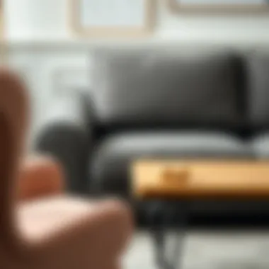 Couch Maintenance Tips Practical tips for couch maintenance and care