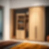 Sleek modern wardrobe showcasing innovative storage solutions