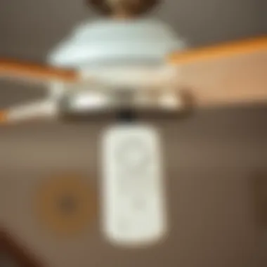 User-Friendly Remote Control Features Close-up of a remote control for a small ceiling fan