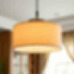 Elegant pendant light with a stylish replacement shade