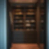 Contemporary short closet organizer displaying innovative shelving solutions