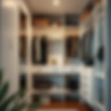 Sustainable design elements in modern short closet organizers