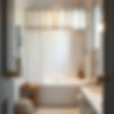 Compact bathroom with an elegant shower curtain liner