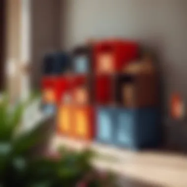 Innovative design of Skadis containers showcasing modular organization