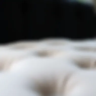 Close-up of tufted fabric showcasing texture and quality