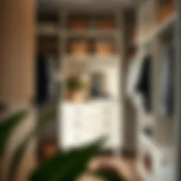 Stylish small dresser integrated within a modern closet space