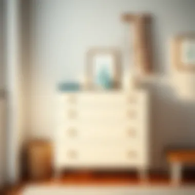 Minimalist small dresser enhancing the overall closet organization