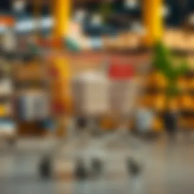 Sustainable Materials for Shopping Carts Sustainable materials in shopping cart production