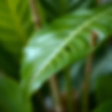 Artistry in Fake Tropical Leaf Design Close-up of detailed craftsmanship in a fake tropical leaf