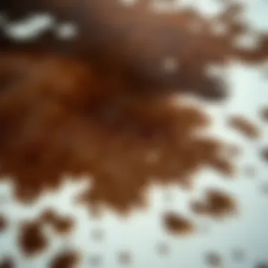 Close-up of a textured cow skin rug showcasing its unique patterns