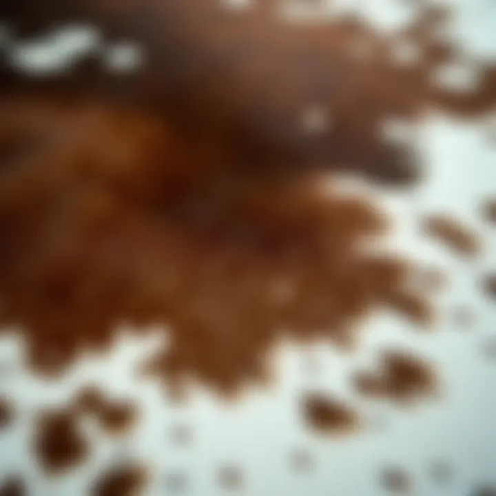 Close-up of a textured cow skin rug showcasing its unique patterns