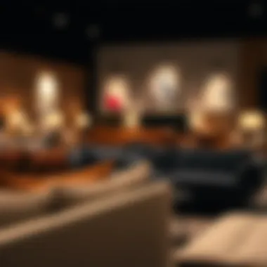 Diverse design styles of affordable couches on display