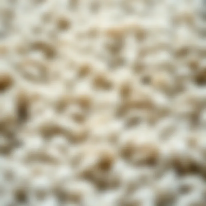 Close-up on the intricate weaving of a fluffy rug