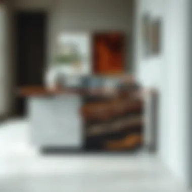 Console table showcasing unique material choices