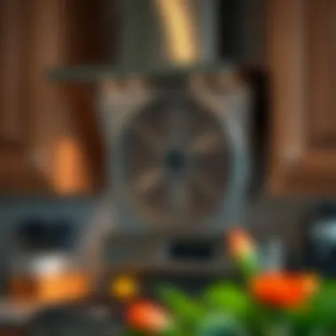 Maintenance tips for range fans