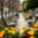 Exploring Variety in Park Bench Designs Diverse styles of park benches in a public space