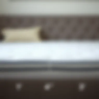 Comparison of mattress thickness for optimal support