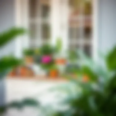 Aesthetic Window Bench Design A beautifully arranged window bench adorned with various potted plants and decorative elements.